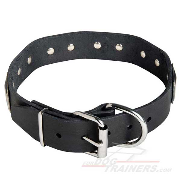 Dog Leather Collar Nickel with Plated Buckle and D-Ring