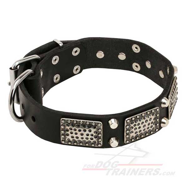 Leather Dog Collar Nickel Plated Pyramids and Studs