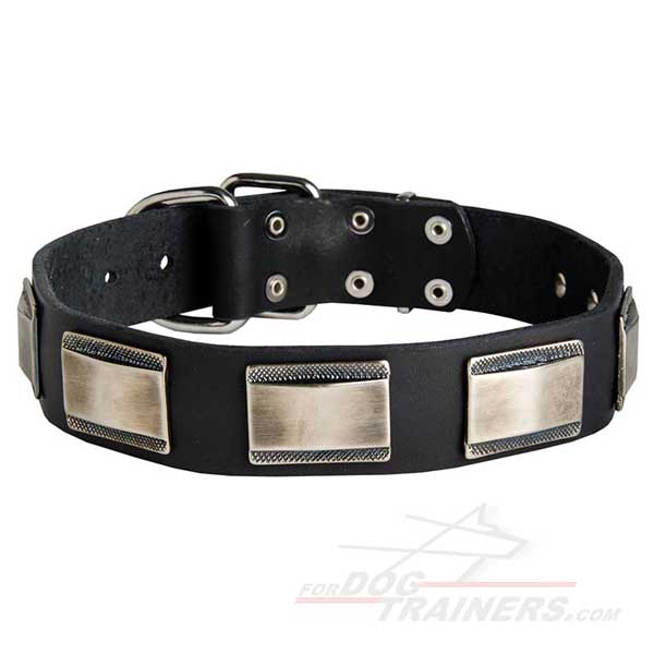 Nickel Plated Designer Leather Dog Collar 