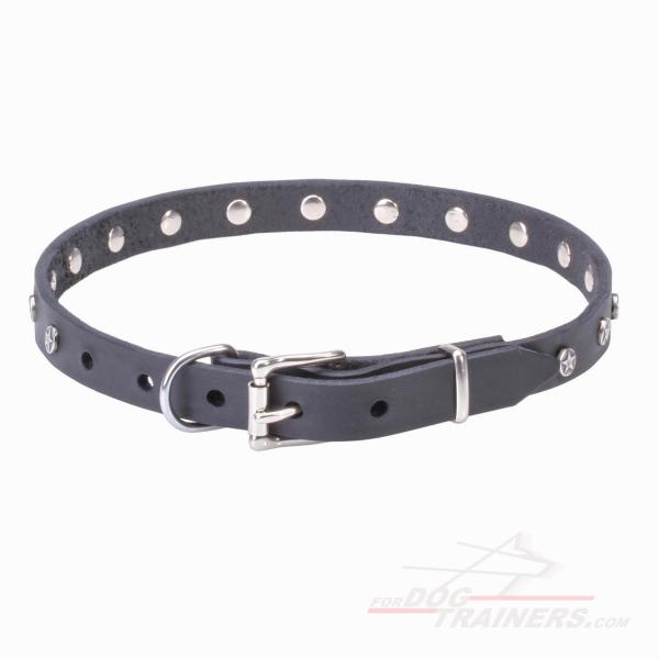 Designer Leather Dog Collar with Nickel Plated Hardware
