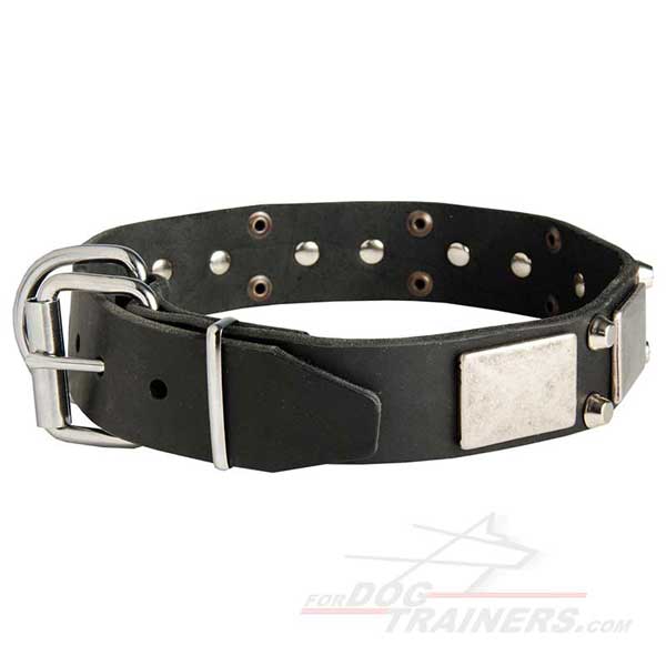 Leather Dog Collar Nickel Plated Hardware
