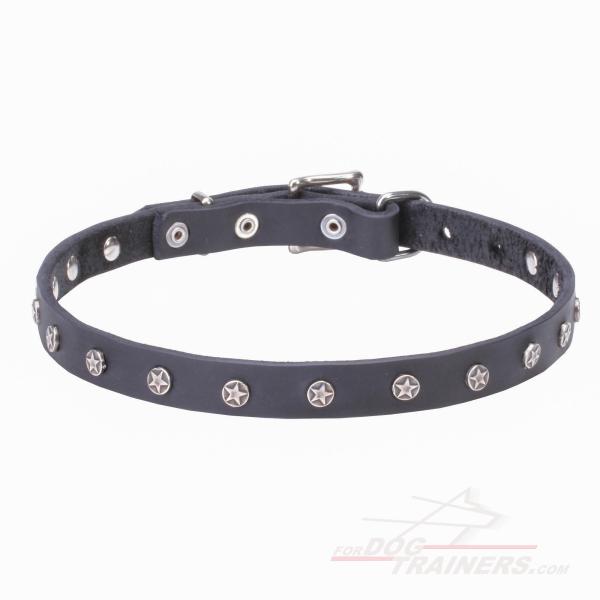 High Quality Dog Collar with Incredible Decor