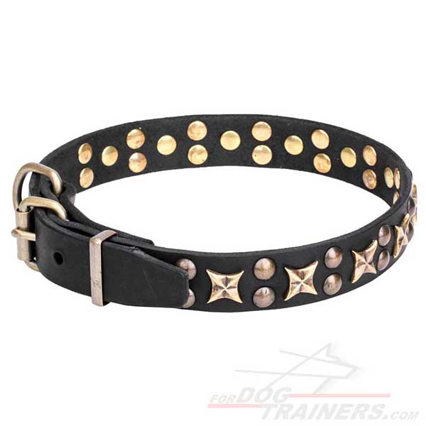 Leather Dog Collar with Rust Resistant Studs