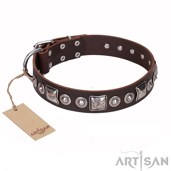 Trendy Dog Collar Decorated with Large Square Plates and Small Round Studs