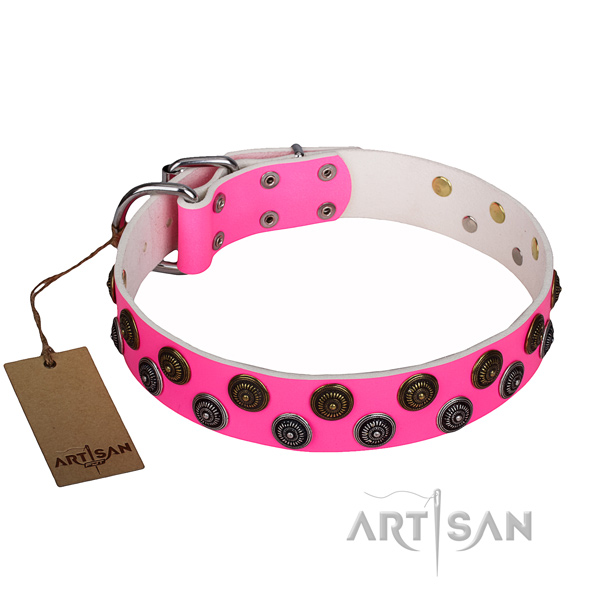 Durable Leather Dog Collar for Walking