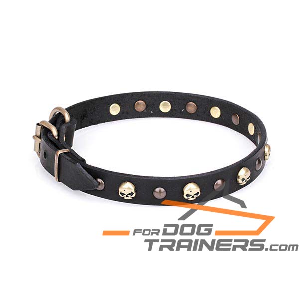 Leather Dog Collar with Brass Plated Studs and Skulls