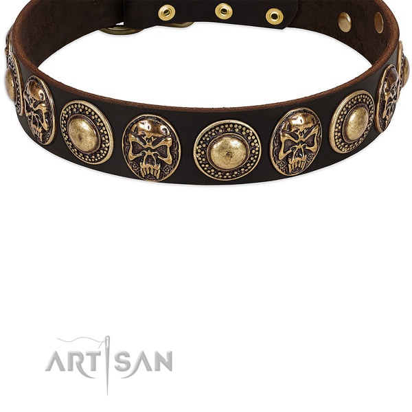 Trendy Leather Dog Collar with Riveted Decor