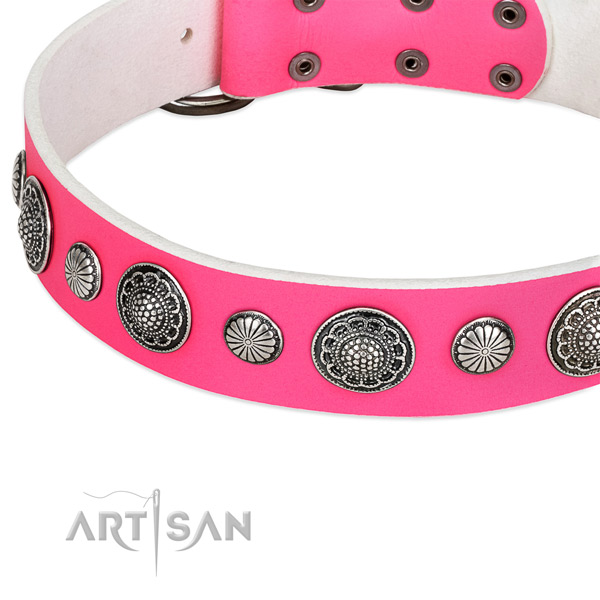 Leather Dog Collar Decorated with Studs