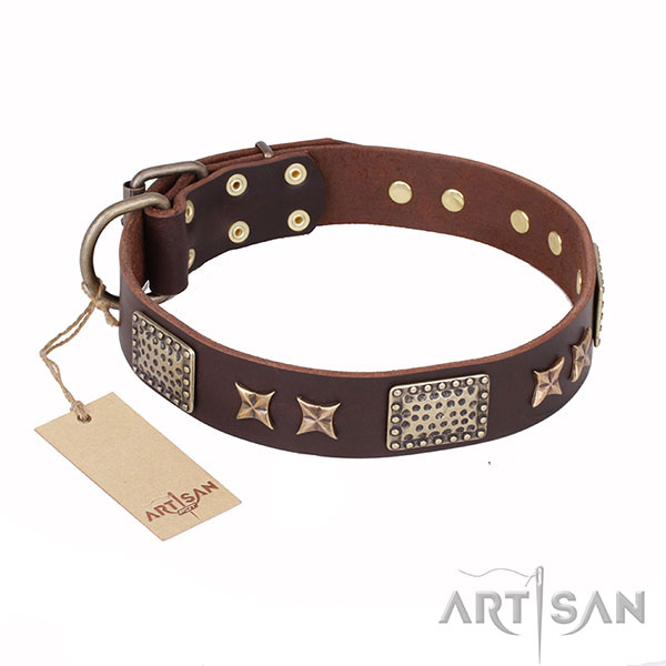 Royal Design Dog Collar with Golden-Like Decor