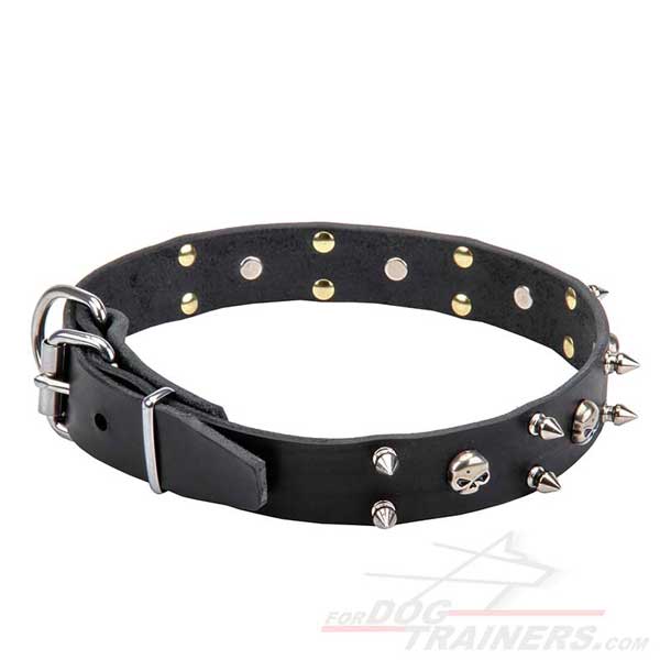 Top Quality Dog Collar with Amazing Decor