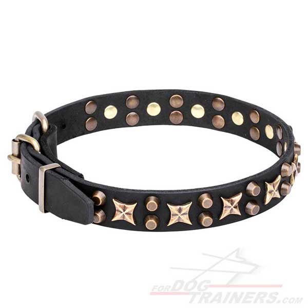 Stylish Dog Collar with Amazing Decor