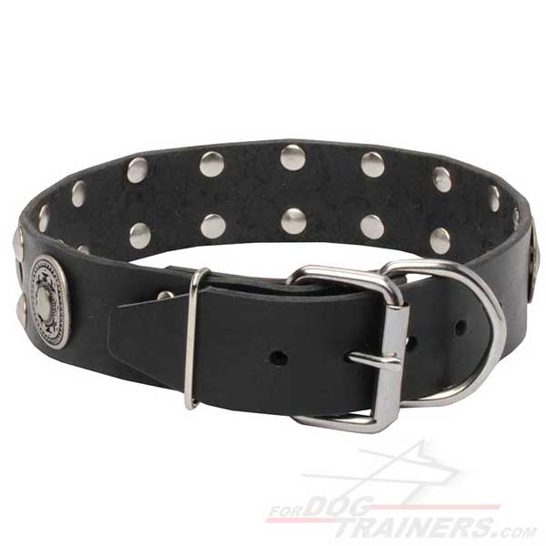Dog Leather Collar with Rust Resistant Buckle and D-ring