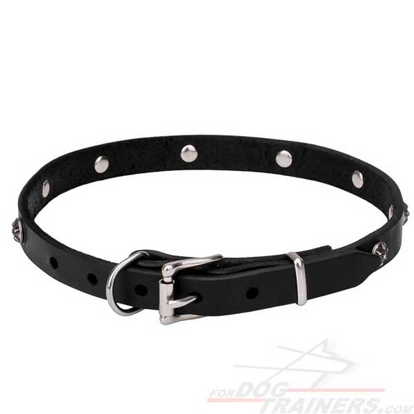 Fashionable Leather Dog Collar with Super Strong D-Ring