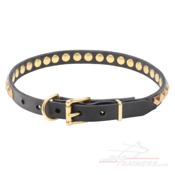Studded Leather Dog Collar with Brass Buckle and D-ring