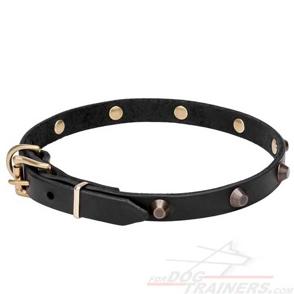 Leather Studded Collar for Dog Walking in Style 