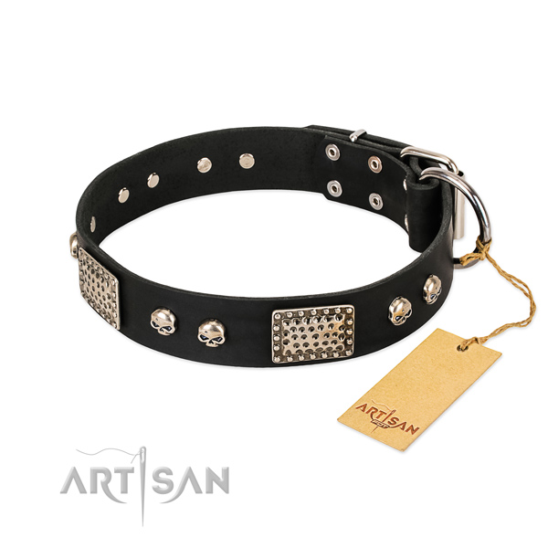 Black Dog Collar with Chrome Plated Fittings