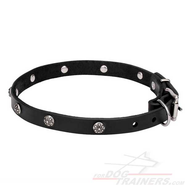 Leather Dog Collar with Chrome Plated Studs