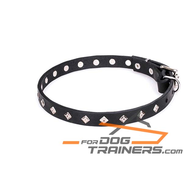 Decorated Leather Dog Collar with Chrome Plated Decor