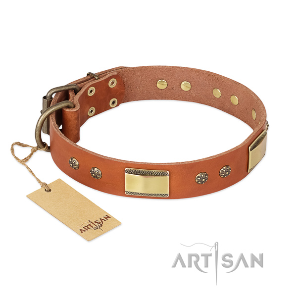 Tan Dog Collar with Bronze Plated Fittings