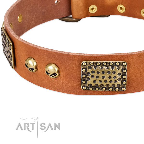 Decorative Leather Dog Collar for Safe Walking
