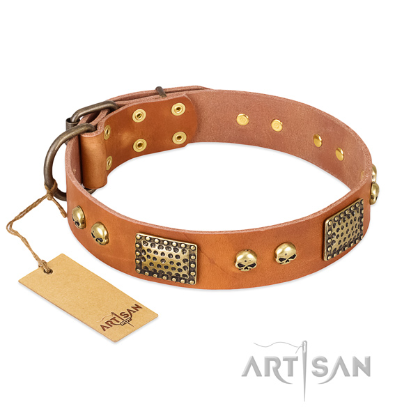 Decorative Leather Dog Collar for Safe Walking