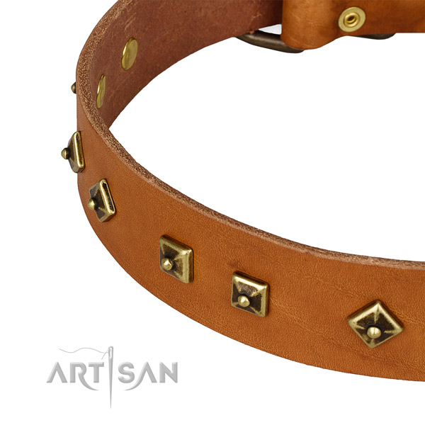Tan Leather Decorated Dog Collar