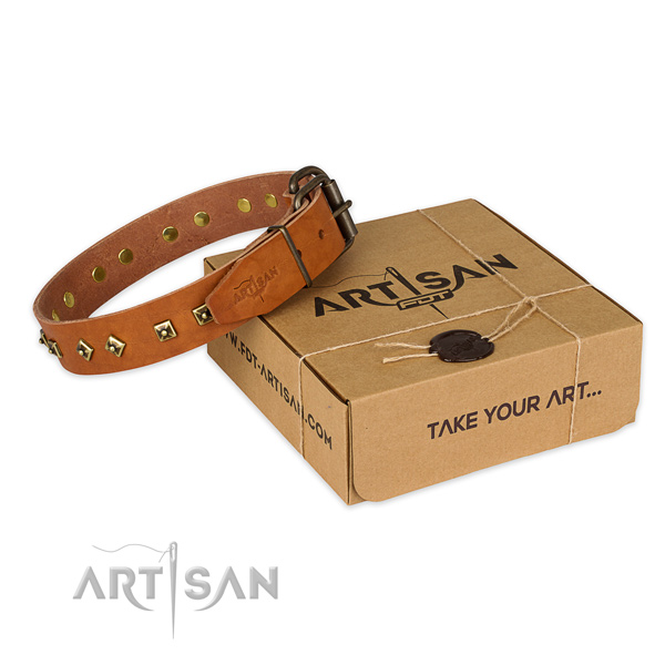 Natural Leather Dog Collar with Bronze-Plated Studs