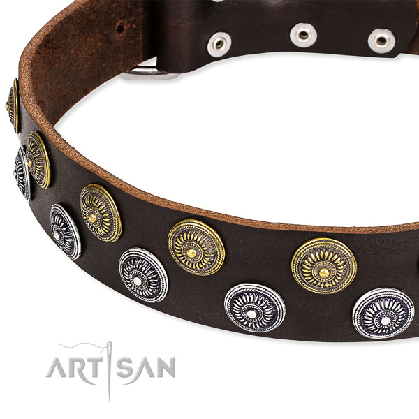 Brown Leather Dog Collar with Round Decorations