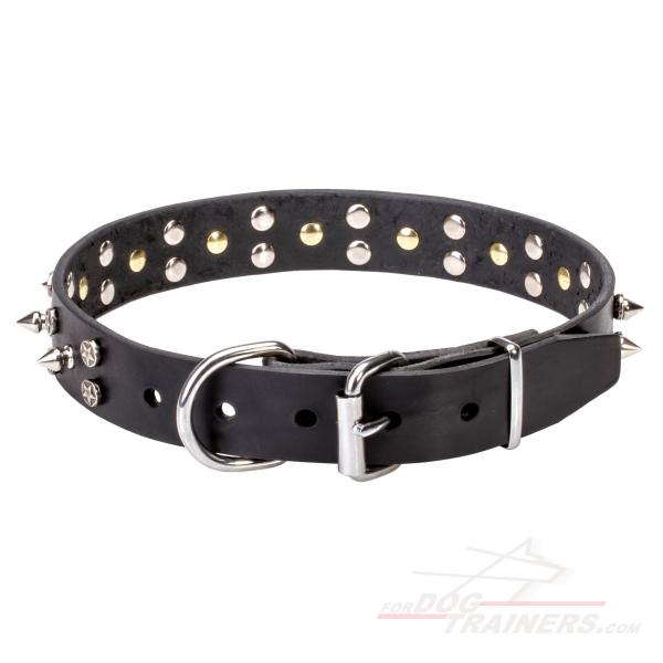 Leather Dog Collar for Walking in Style