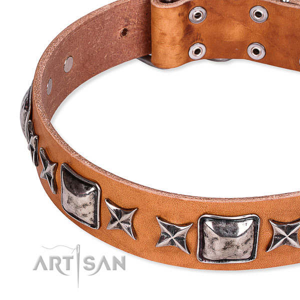 Tan Top Quality Dog Collar with Large Silver Look Plates and Stars