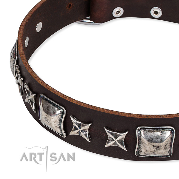 Brown Top Quality Dog Collar of Genuine Leather