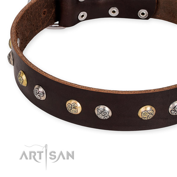Brown Leather Dog Collar with Studs with Flower Engraving
