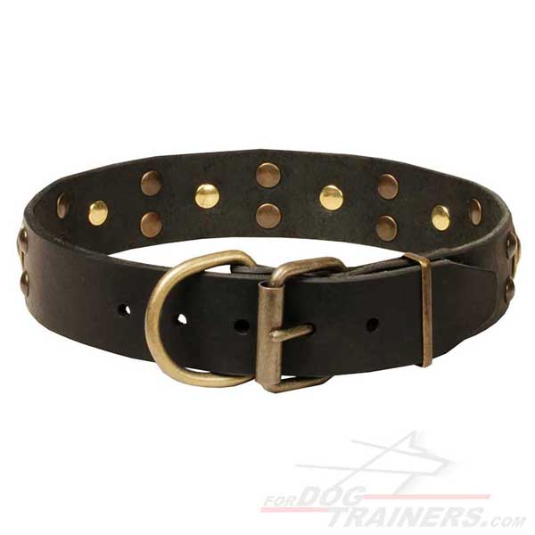 Leather Dog Collar with Rust Resistant Buckle and D-ring