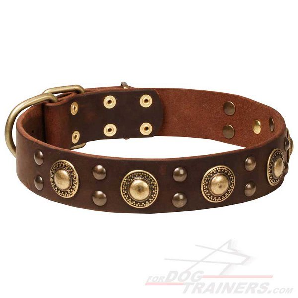 Dog Leather Collar with Massive Round Studs