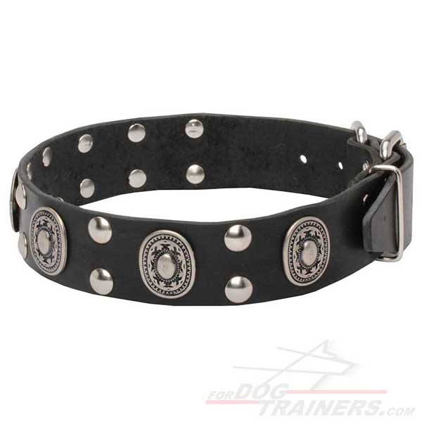 Dog Leather Collar with Oval Plates and Half Ball Studs
