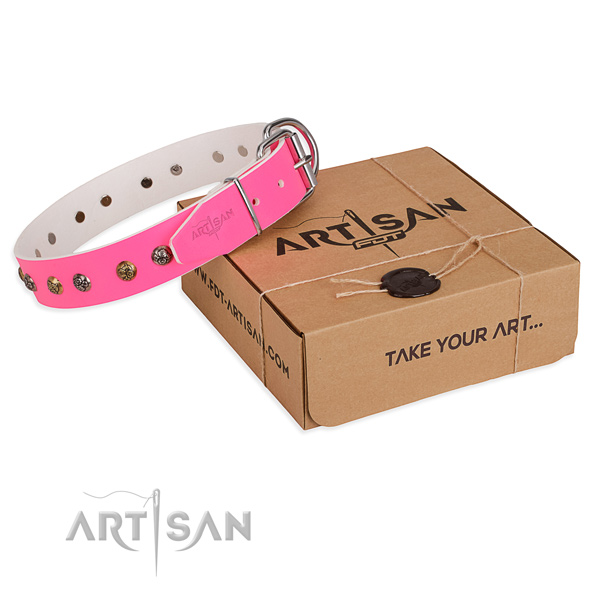 Trendy Dog Collar Decorated with Flower Type Studs