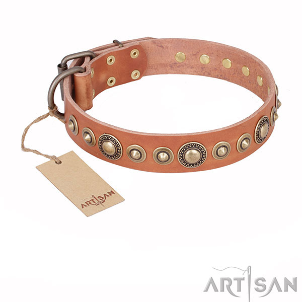 Tan Leather Dog Collar with Rust Resistant Decorations