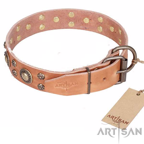 Top Quality Dog Collar with Strong Hardware