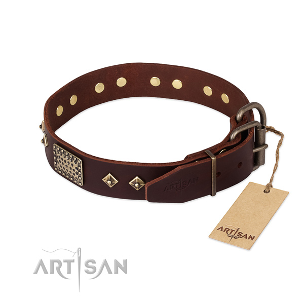 Brown Leather Dog Collar with Old Bronze Look Fittings