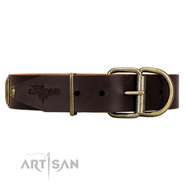 Unique Brown Leather Dog Collar with Old Bronze Look Fittings