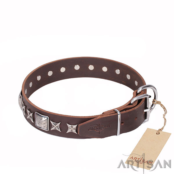 Brown Top Quality Leather Dog Collar with Strong Hardware