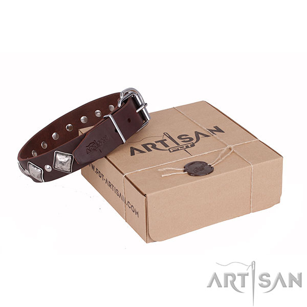 Durable Hardware on Artisan Leather Dog Collar