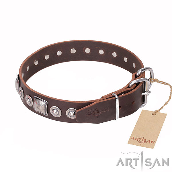 Trendy Dog Collar Decorated with Chrome-plated Fittings