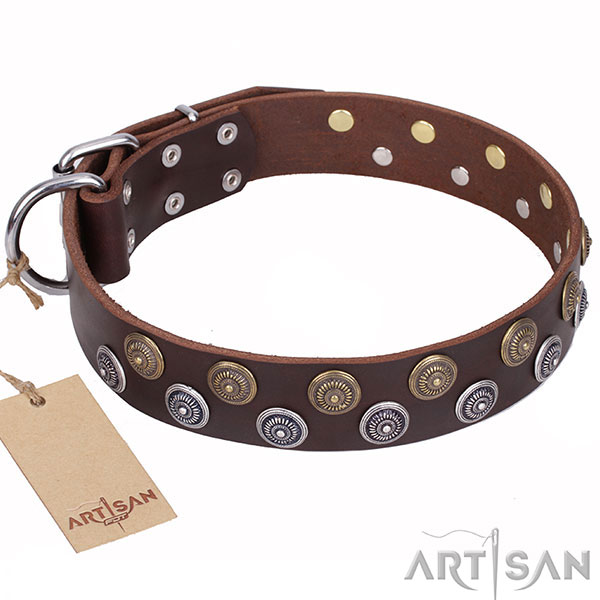 Walking Dog Collar of Natural Brown Leather