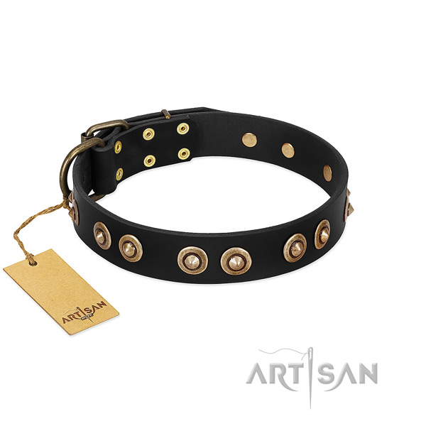 Stylish Black Leather Dog Collar with Goldish Medallions