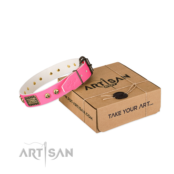 Stylish Pink Leather Dog Collar with Plates and Skulls