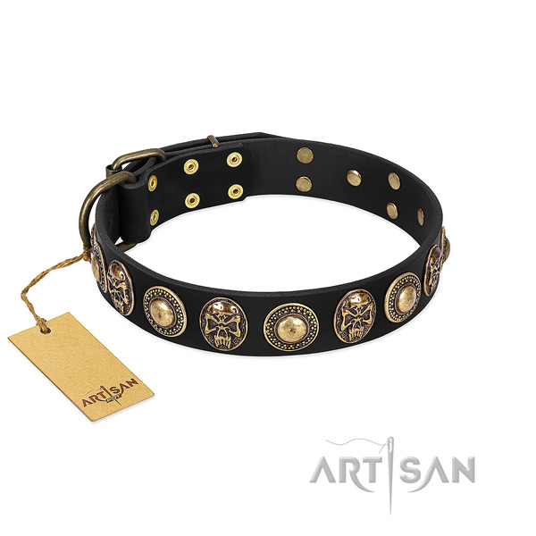Long Servicing Leather Dog Collar with Gold-like Medallions