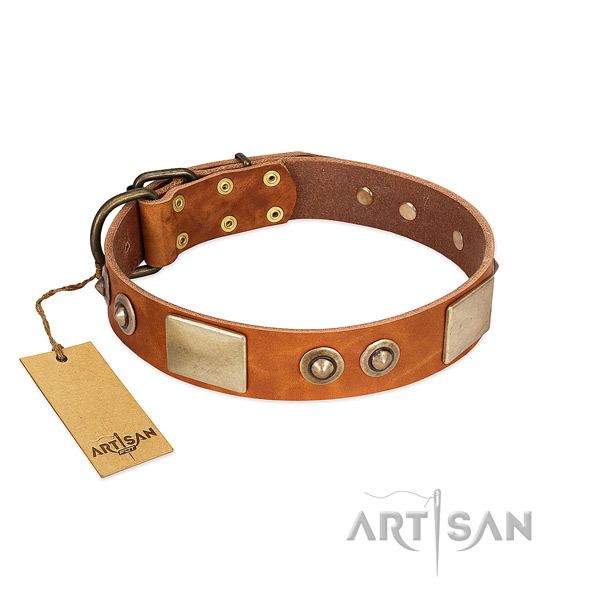 Original Design Tan Leather Dog Collar with Goldish Plates