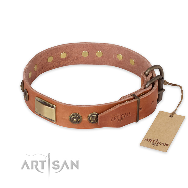 Fashionable Leather Dog Collar with Old-like Brass Plated D-Ring