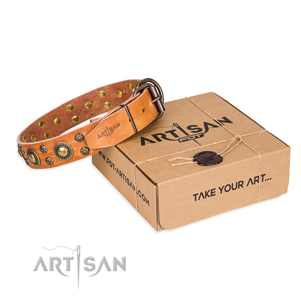 Top Quality Tan Dog Collar of Unique FDT Artisan Design